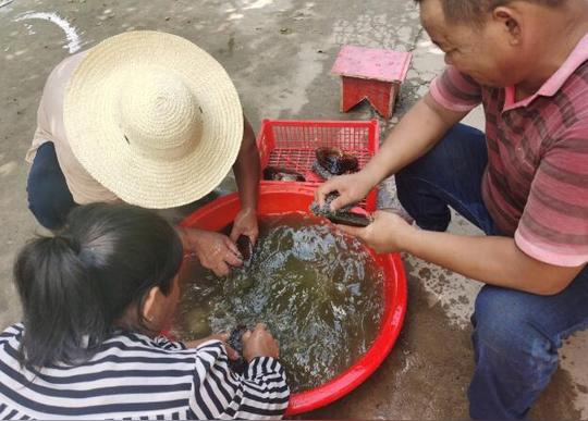 芜湖：告别“水上漂”迎接新生活弋江区助力退捕渔民安居乐业