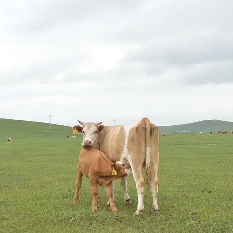 桂林兴安住宿相关长尾关键词有哪些