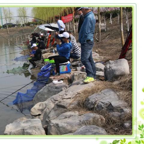 合肥离巢湖无为县有多远？