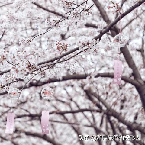 无锡市清明节去哪里玩