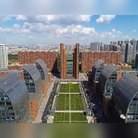 唐沽属于天津市哪个区管