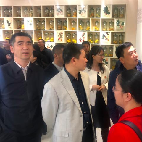 桂林市柿回乡在哪里啊