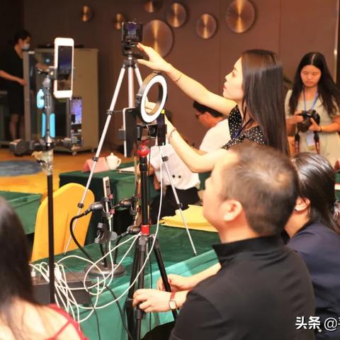 石硖龙眼什么时候开始种植？