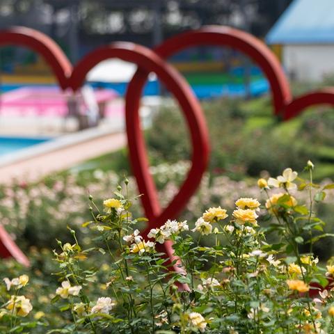 成都市漫花庄园住宿怎么样