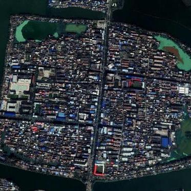 周口市小麦播种面积多少