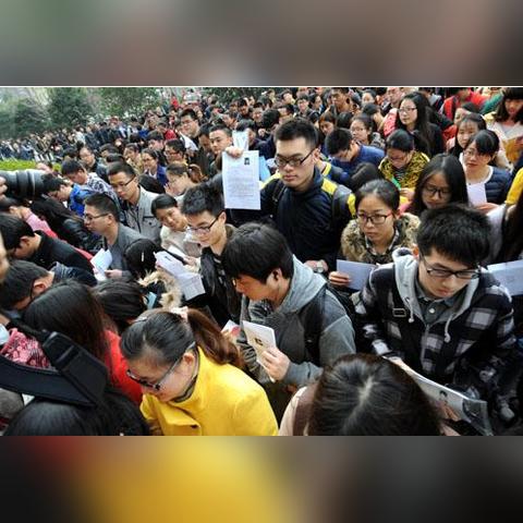 石家庄市选调生要求什么学历