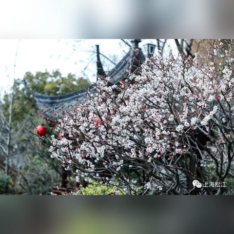 无锡市红梅宾馆地址在哪里