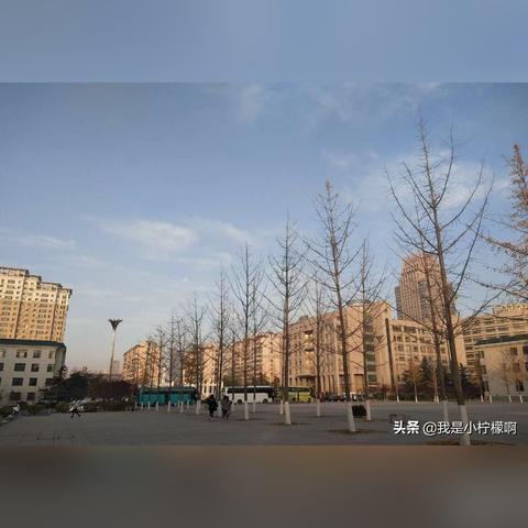 大连民族艺术学校的相关长尾关键词有哪些