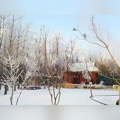 合肥市颐和中学学费多少