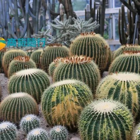 厦门钟鼓索道有优惠吗的相关长尾关键词有哪些