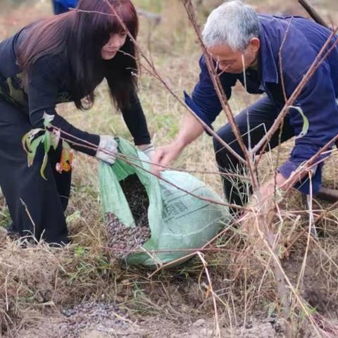 桐庐跨境电商运营工资的相关长尾关键词有哪些 桐庐跨境电商运营工资的相关长尾关键词有哪些