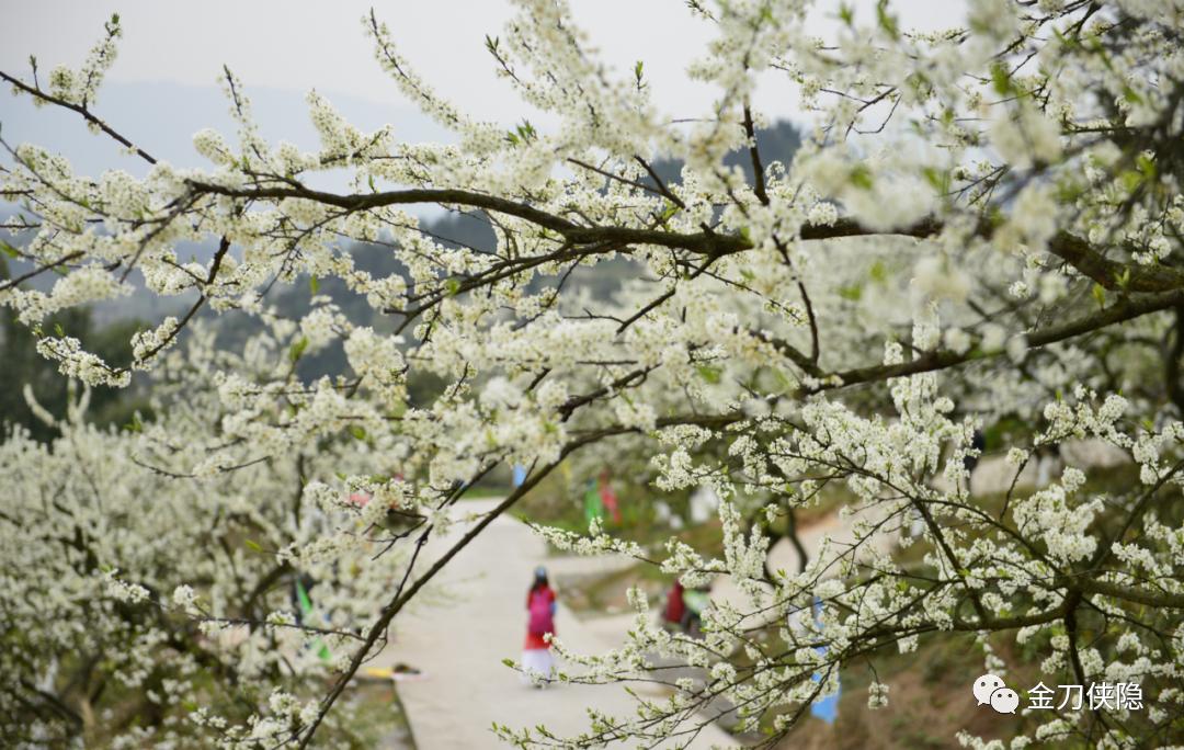 北碚窑民宿