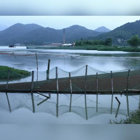 苏州市新集市是哪个区