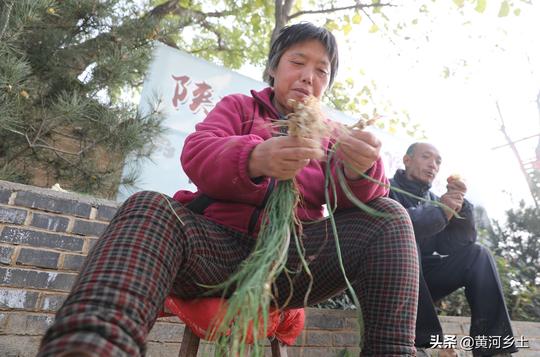 河南农村52岁大妈家门口卖“野味”，做的无本生意收入让她很意外