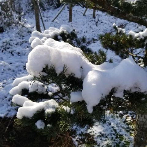 四明山属于宁波市什么区