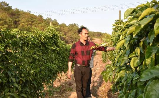 怀集退伍军人李茂生：艰辛实现创业梦，努力帮助更多人！