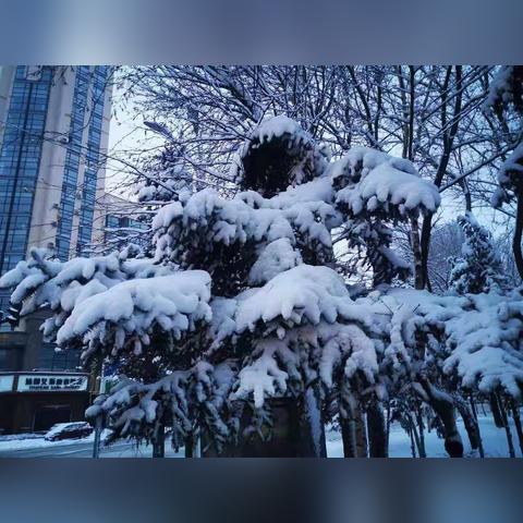 哈尔滨2月还有雪吗相关长尾关键词有哪些