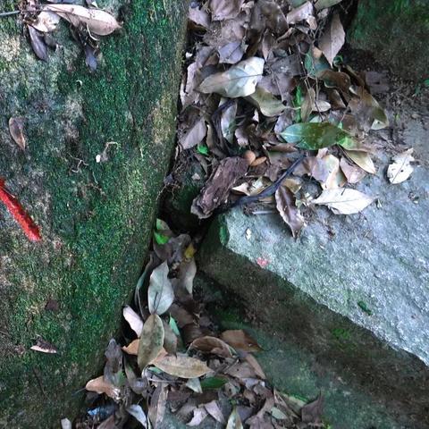 福建结伴旅游的相关长尾关键词有哪些