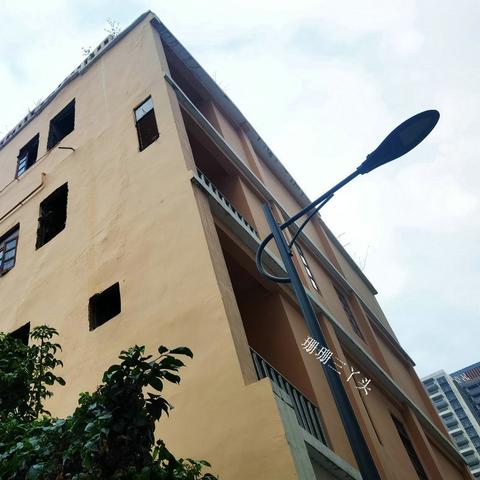 广州市桥栏杆上有什么花