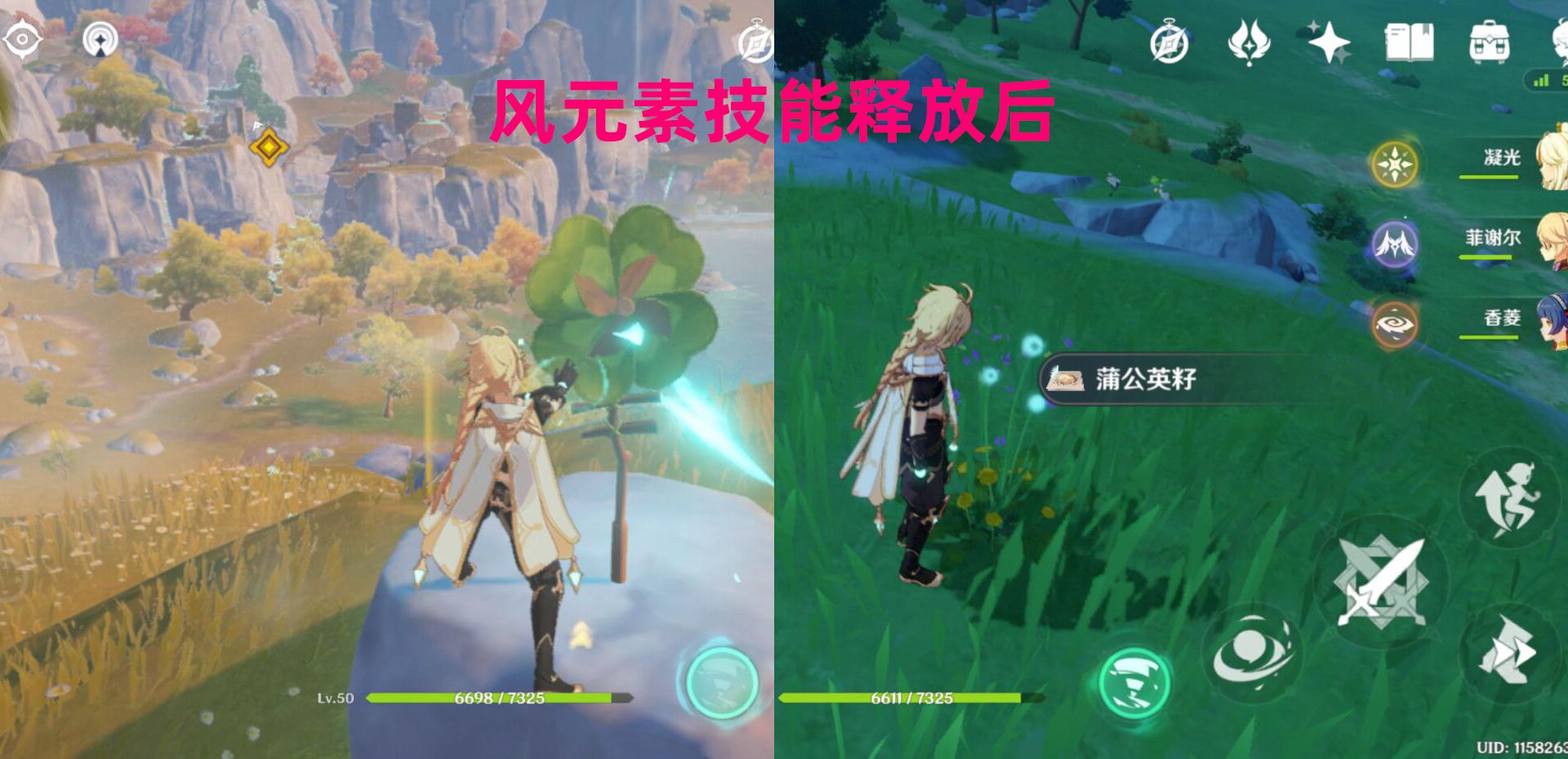 原神蒲公英的种子怎么播种（原神蒲公英籽如何采摘）