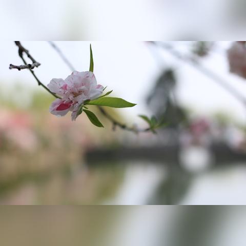 无锡市贵金属冶炼公司的长尾关键词有什么