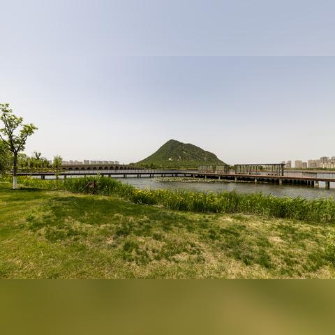 济南海鲜市场有卖鲢鱼的吗？