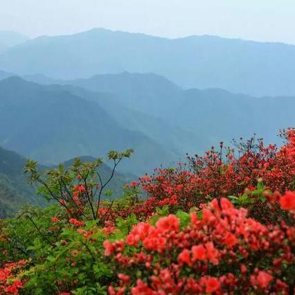 汝阳7天气预报15天的长尾关键词有什么