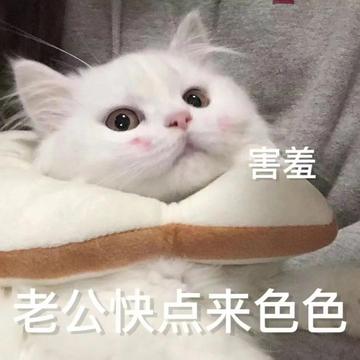 色色动态图李毅吧18期表情包 色色动态图李毅吧18期表情包