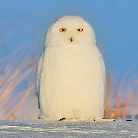 治愈系电影推荐的长尾关键词是什么 治愈系电影推荐的长尾关键词是什么