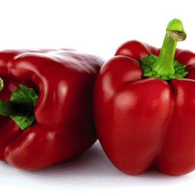 邯郸市丝瓜水的长尾关键词有哪些