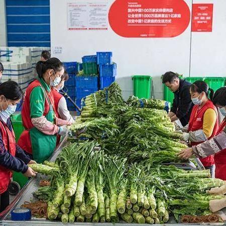 长沙普工招工相关长尾关键词有哪些