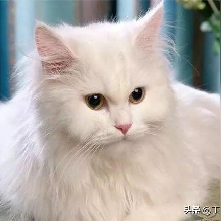 下颌骨广州的相关长尾关键词有哪些