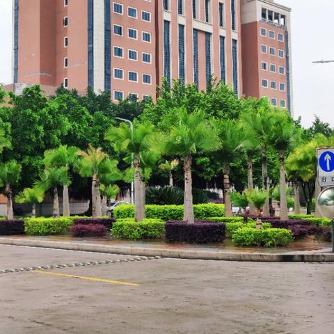 福建哪个城市大学