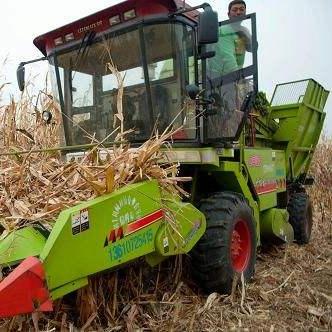 长春市90岁还有多少人