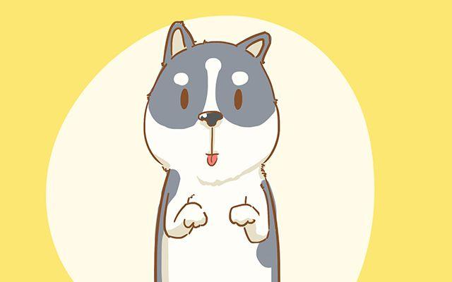 宝宝宠物过敏怎么办