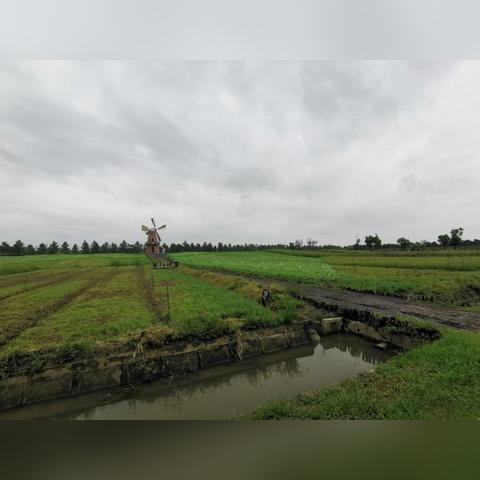 合肥牛角大圩有哪些景点相关长尾关键词有哪些