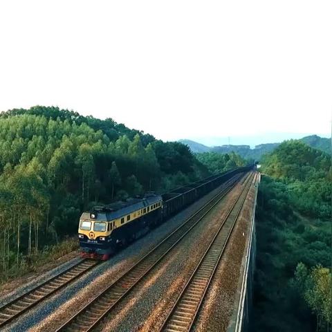 焦作市和南宁市哪个好玩