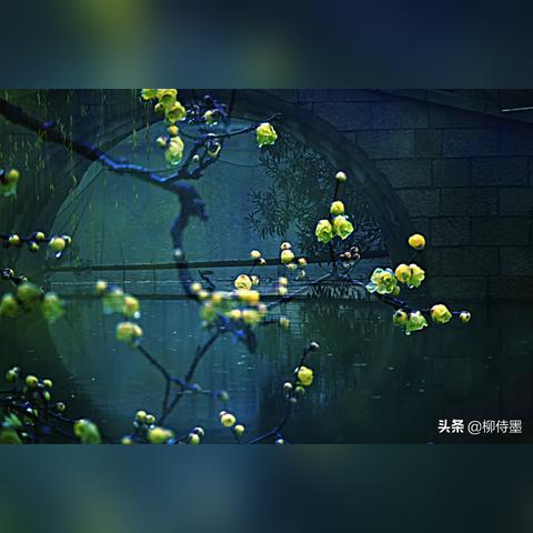 鲜花店的市场前景？