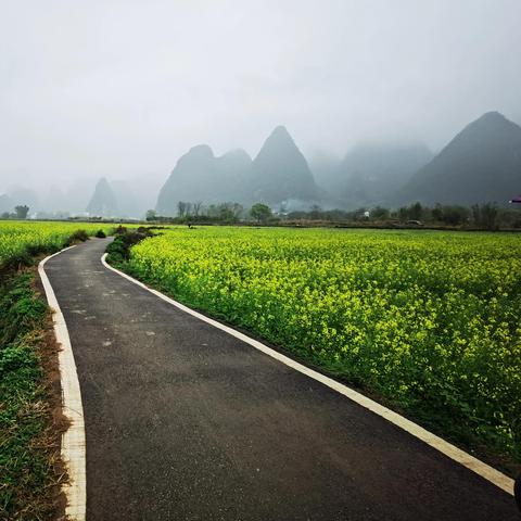 杭州到桂林游记相关长尾关键词有哪些