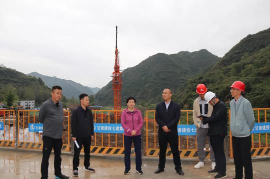 武冰调研指导全县重点项目建设进展情况