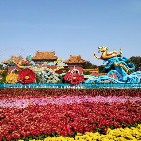 沈阳哪个公园最好玩？