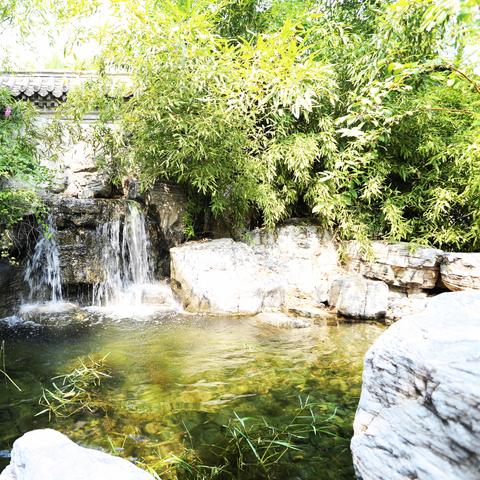 苏州市园三是什么高中