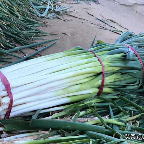 杭州千里囤的相关长尾关键词有哪些