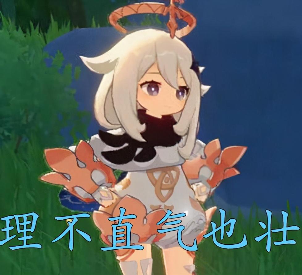 原神出现高危险度怎么解决(原神抽奖如果歪了下次保底多少抽)