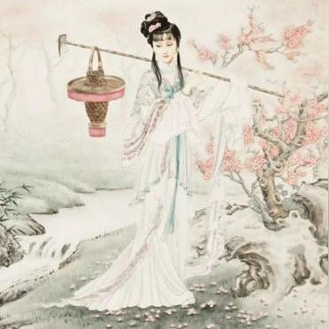 太子本红妆免费阅读的长尾关键词有什么