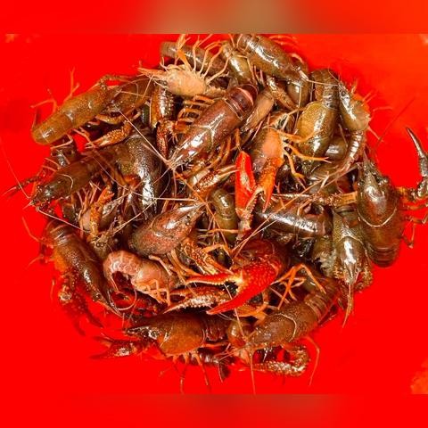 温州市离哪个郊区远一些