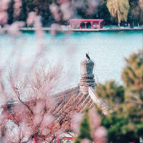兰州市白塔公园怎么样啊