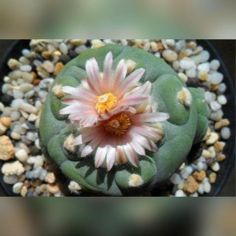 无锡跨境电商运营学习的相关长尾关键词是那些