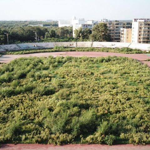 沈阳市城市建设管理局相关长尾关键词有哪些