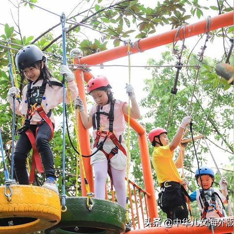 2025.11.23东莞今日最新油价查询